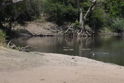 DSC_3516 (Large).JPG